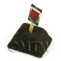 Dolls House Miniature Early Beetroot Seed Packet With A Stick