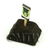 Dolls House Miniature Sweet Fennel Seed Packet With A Stick