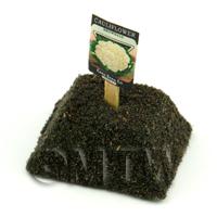Dolls House Miniature Snowball Cauliflower Seed Packet With A Stick