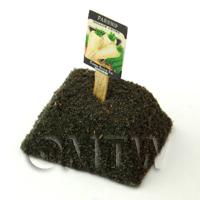 Dolls House Miniature Parsnip Seed Packet With A Stick
