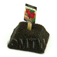 Dolls House Miniature Red Turnip Radish Seed Packet With A Stick