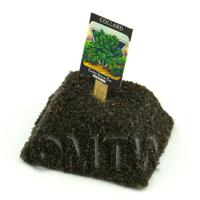 Dolls House Miniature Collard Seed Packet With A Stick