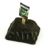 Dolls House Miniature Purple Kohl Rabi Seed Packet With A Stick