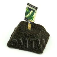 Dolls House Miniature Pole Beans Seed Packet With A Stick