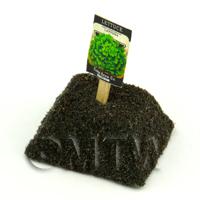 Dolls House Miniature Lattuga Lettuce Seed Packet With A Stick