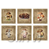 Dolls House Miniature Apothecary Fungi Square Colour Box Label Set 1