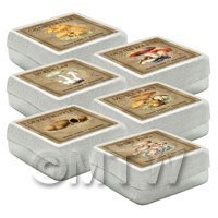 Dolls House Miniature Apothecary Fungi Square Colour Box Set 2