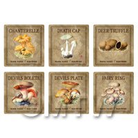 Dolls House Miniature Apothecary Fungi Square Colour Box Label Set 2