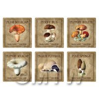 Dolls House Miniature Apothecary Fungi Square Colour Box Label Set 5