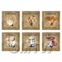 Dolls House Miniature Apothecary Fungi Square Colour Box Label Set 6