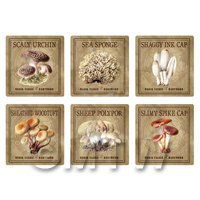 Dolls House Miniature Apothecary Fungi Square Colour Box Label Set 8