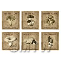this set of fungi labels in sepia