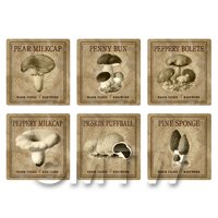 Dolls House Miniature Apothecary Fungi Square Sepia Box Label Set 5