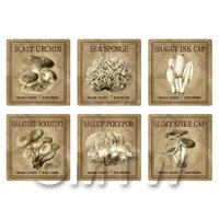 Dolls House Miniature Apothecary Fungi Square Sepia Box Label Set 8