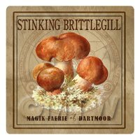 1/12th scale - Dolls House Miniature Apothecary Stinking Brittlegill Fungi Colour Box Label