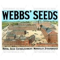 Dolls House Miniature Webbs Seeds Shop Sign Circa 1890