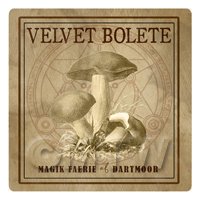 Dolls House Miniature Apothecary Velvet Bolete Fungi Sepia Box Label