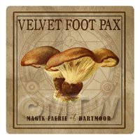 Dolls House Miniature Apothecary Velvet Foot Pax Fungi Colour Box Label