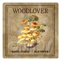 Dolls House Miniature Apothecary Woodlover Fungi Colour Box Label