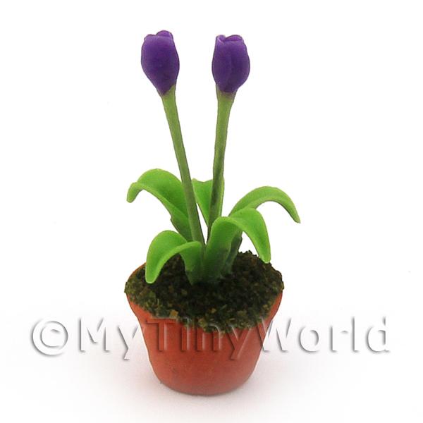 1/12 Scale Dolls House Miniatures | Dolls House Miniature Potted Purple Tulip