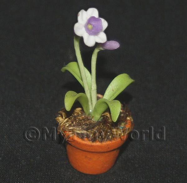 1/12 Scale Dolls House Miniatures  | Miniature Potted Purple and White Flower