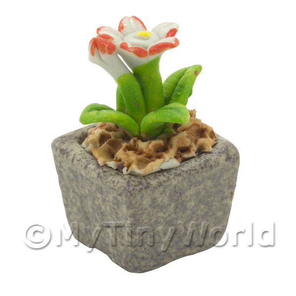 1/12 Scale Dolls House Miniatures  | Miniature Handmade Dual Coloured Ceramic Flower (CFD05)