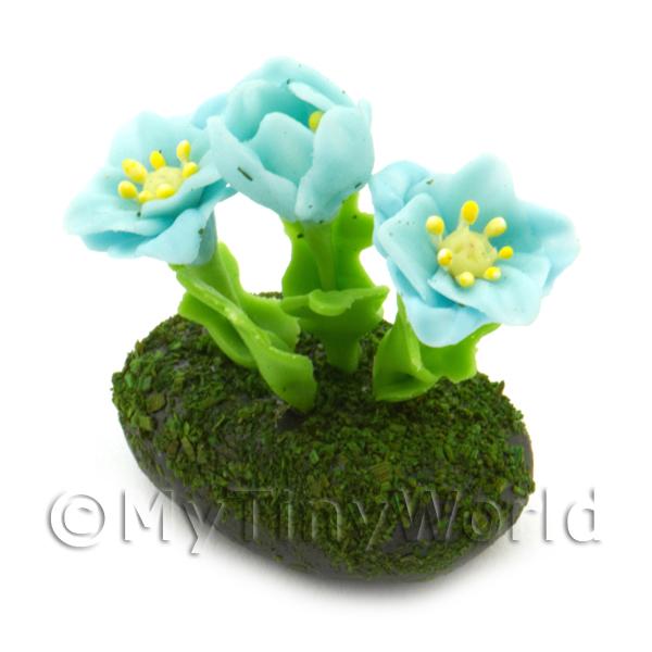 1/12 Scale Dolls House Miniatures  | Dolls House Miniature Flower Bed Common Poppy