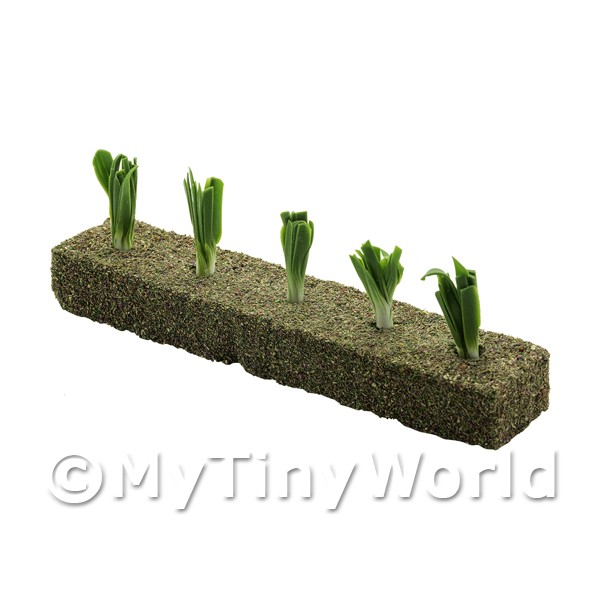 1/12 Scale Dolls House Miniatures  | Strip of 5 Miniature Leeks For The Allotment 