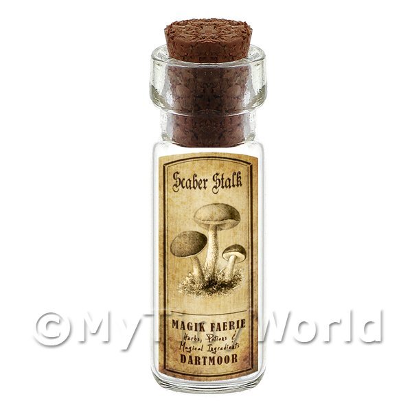 1/12 Scale Dolls House Miniatures  | Dolls House Miniature Apothecary Scaber Stalk Fungi Bottle And Label