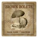 Album Photo brown-bolete-nc.jpg
