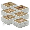 Album Photo square-colour-set-1-box.jpg