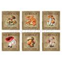 Album Photo square-colour-set-7.jpg
