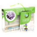 Album Photo miniature-flower-kit-02.jpg