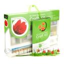 Album Photo miniature-flower-kit-14.jpg