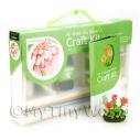 Album Photo miniature-flower-kit-21.jpg