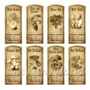 Album Photo aged-herb-no-colour-short-set4-lbl.jpg