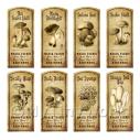 Album Photo aged-herb-no-colour-short-set5-lbl.jpg