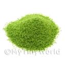 Album Photo scatter-light-meadow-green.jpg