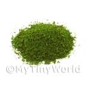 Album Photo scatter-summer-green-course.jpg
