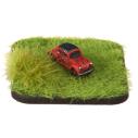Album Photo 045.jpg