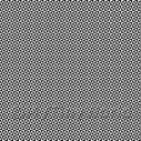 Album Photo 15791_12th_flooring.jpg