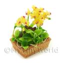 Album Photo mini-flower-bed-07.jpg