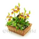 Album Photo mini-flower-bed-13.jpg
