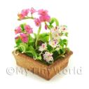 Album Photo mini-flower-bed-19.jpg