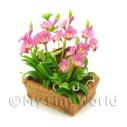 Album Photo mini-flower-bed-21.jpg