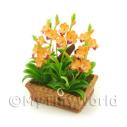 Album Photo mini-flower-bed-27.jpg