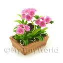Album Photo mini-flower-bed-28.jpg