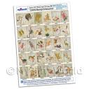Album Photo celestial-hall-set-a4-paper-age.jpg