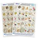 Album Photo celestial-hall-set-a4-paper-both-sets.jpg