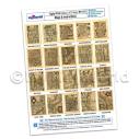 Album Photo ortelius-set3-4-a4-web.jpg